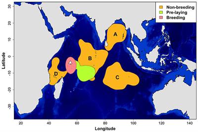 Geolocation Reveals Year-Round at-Sea Distribution and Activity of a Superabundant Tropical Seabird, the Sooty Tern Onychoprion fuscatus